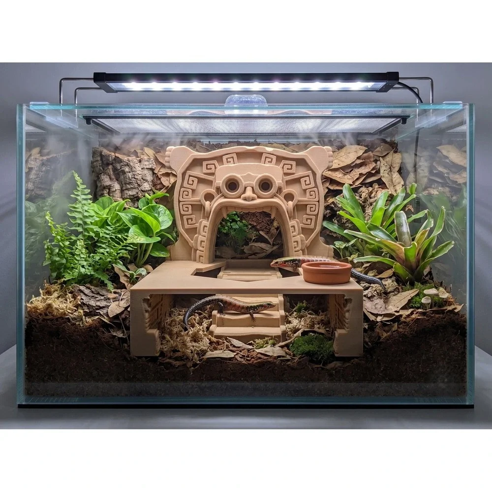 Ancient Aztec Temple Reptile Hide | Cross Section Burrow Cave